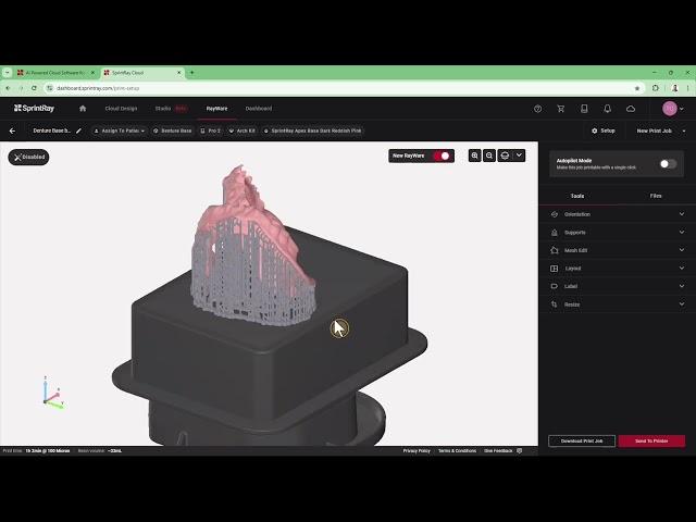 Denture  nesting  Rayware 2.0. How to avoid failure