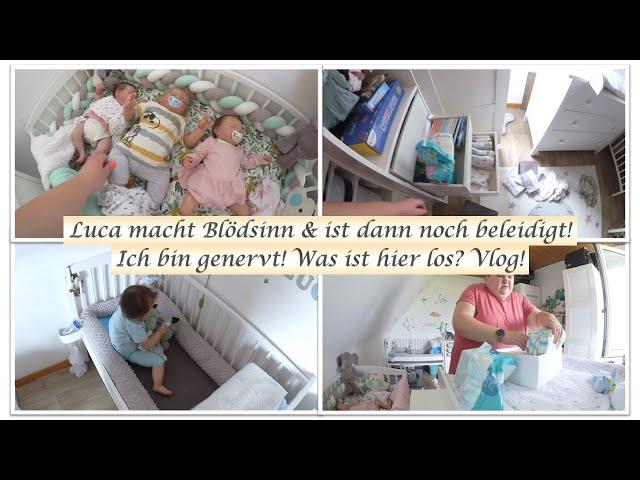 Luca macht Blödsinn & ist dann noch beleidigt! |Vlog! ||Reborn Baby Deutsch || Little Reborn Nursery