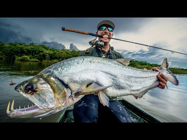 The Dangers of South America's Predatory Fish..  | Jungle Series -- EP.1