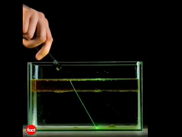 It's all water density laser pointer | Factovation | Purnima Kaul