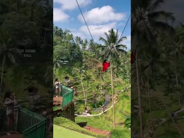 Expectations vs reality of Bali swing #baliswing #bali