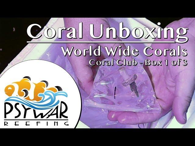 Coral Unboxing - World Wide Corals - Coral Club - Box 1 of 3