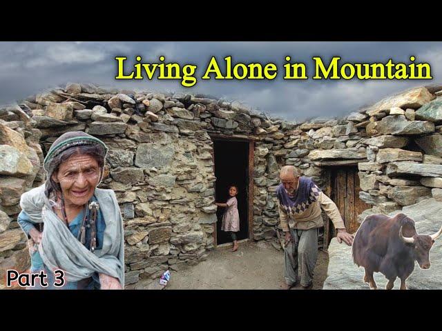 What are they doing now? Old Couple Living Alone On Top Of  Mountain | Pakistan| Gilgit Baltistan