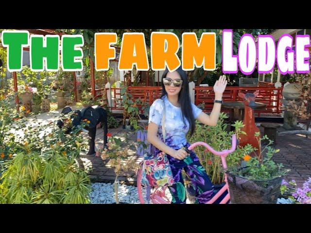 The Farm Lodge (Part 1)