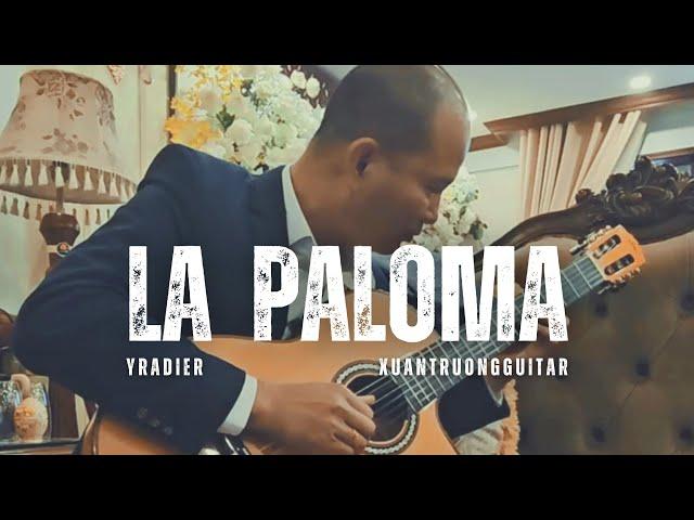 La Paloma live - Yradier | Xuan Truong Guitar #nguyenxuantruong #guitarcover #guitarsolo