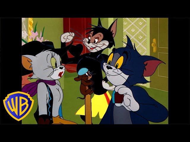 Tom & Jerry | Best of Cats!  | Animals Month | Classic Cartoon Compilation | @wbkids​