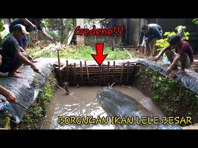 JOS GANDOS!! MANCING IKAN LELE BESAR