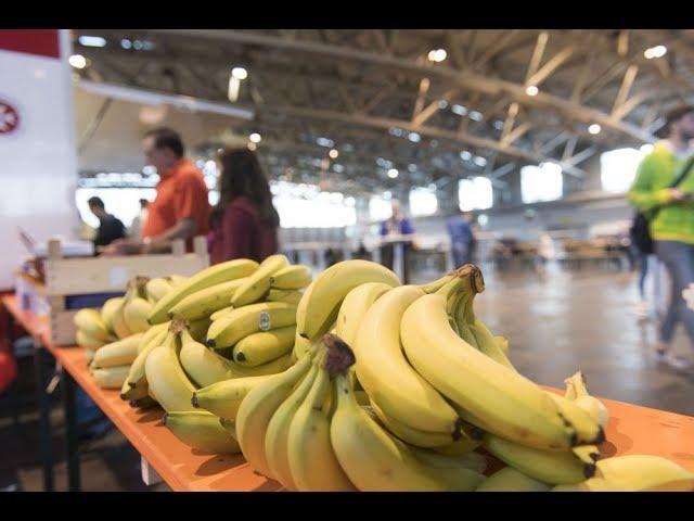 Evakuierung in Frankfurt: Die Messehalle als Zuflucht