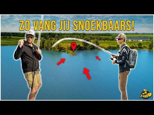 MET DEZE TIPS VANG JIJ MEER SNOEKBAARS! - Alles over kantvissen met een expert