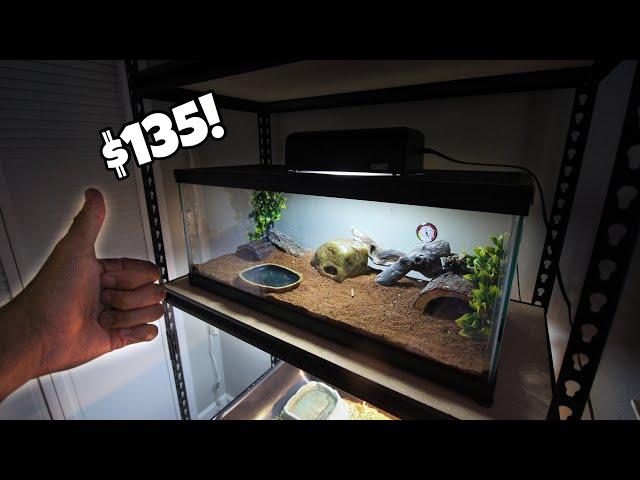 Naturalistic Leopard Gecko setup for $135!