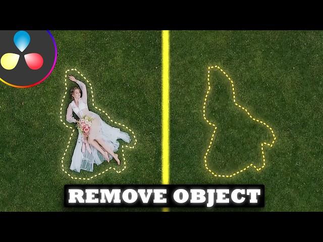 Object Removal in Davinci Resolve 19 Studio | Tutorial