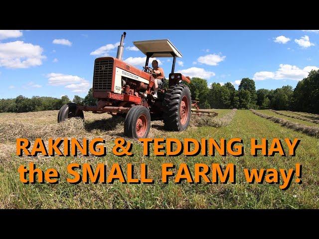 the basics of raking & tedding hay