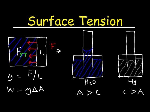 Surface Tension of Water, Capillary Action, Cohesive and Adhesive Forces - Work & Potential Energy