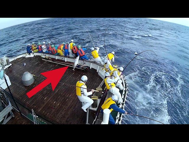 Fishing For Skipjack TUNA The Best Old Fashioned Way | Tuna Fishing Japan