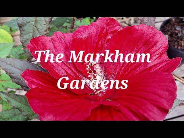 Spicing Up @TheMarkhamGardenswith 'Summer Spice'!
