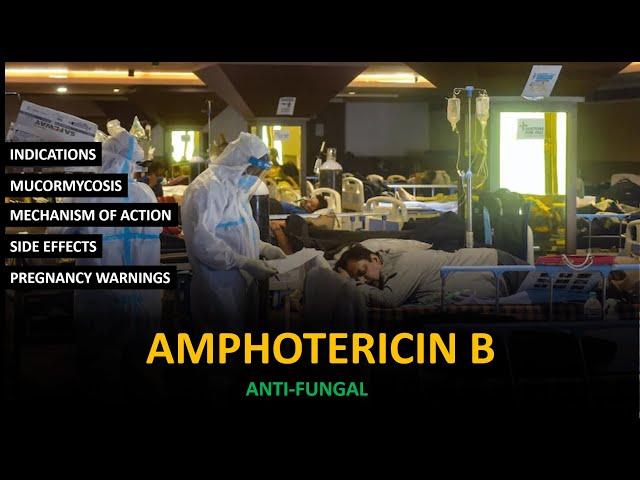 Amphotericin B | Antifungal | Black Fungus @drpharma