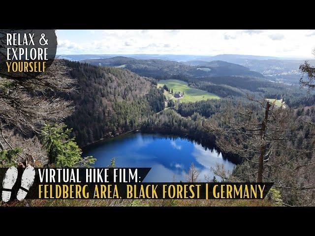 Mount Feldberg - Experience Black Forest hiking yourself | Virtual Hike Germany with Relaxing Music