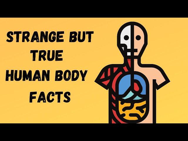 Strange but True Facts about the Human Body