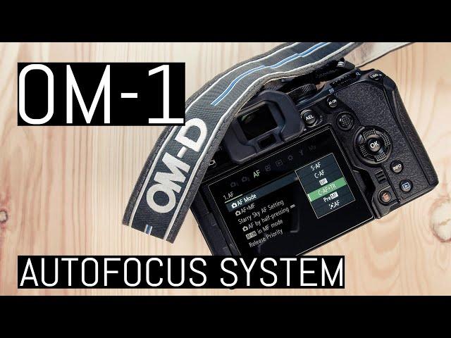 OM System OM-1 – Autofocus System Expert Guide and In-Depth Knowledge – S-AF, C-AF, C-AF+TR and more