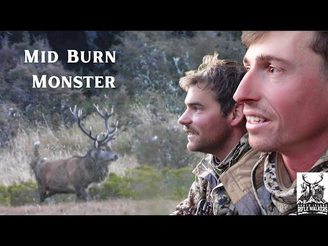 Mid Burn Wapiti Ballot 2023 - Would You Take the Shot? 10-Day Fiordland Wapiti Hunting Expedition