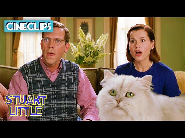 Snowbell's Plan Is Evil!  | Stuart Little | CineStream