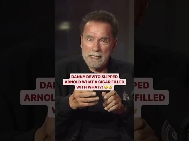 Danny DeVito Did WHAT To Arnold Schwarzenegger On the Set of 'Twins'?!