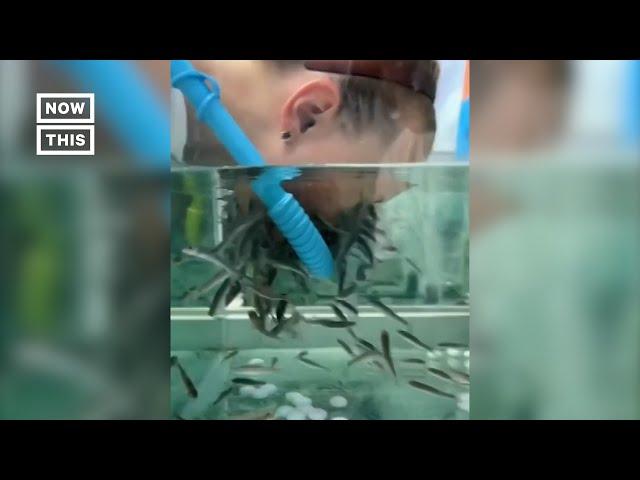 Russian Spa Uses Fish for Facials