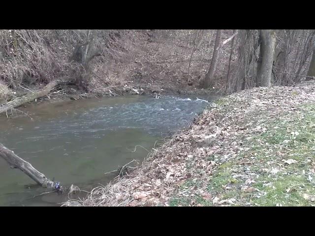 Creek in Switzer, WV (January 28th, 2019)