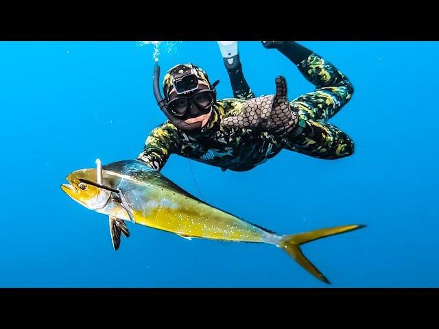 Bluewater SPEARFISHING Mahi Mahi! - Tusk Fish Catch n Cook