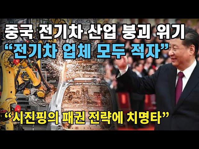 중국 전기차 산업 붕괴 위기, 전기차 업체 모두 적자