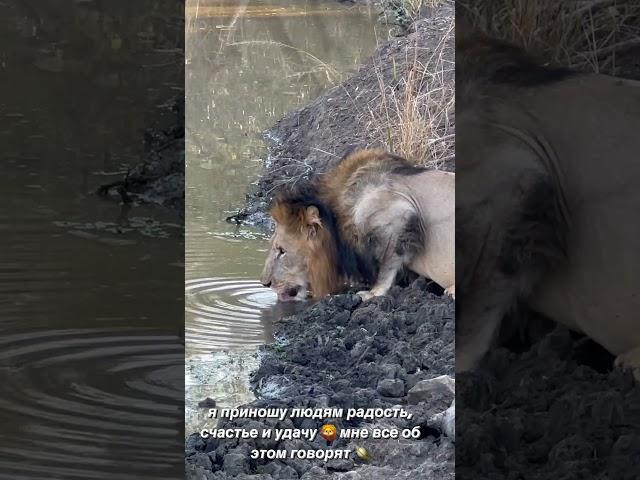 Все видео распространяет Фан Аккаунт Ольга Бузова - я приношу людям радость