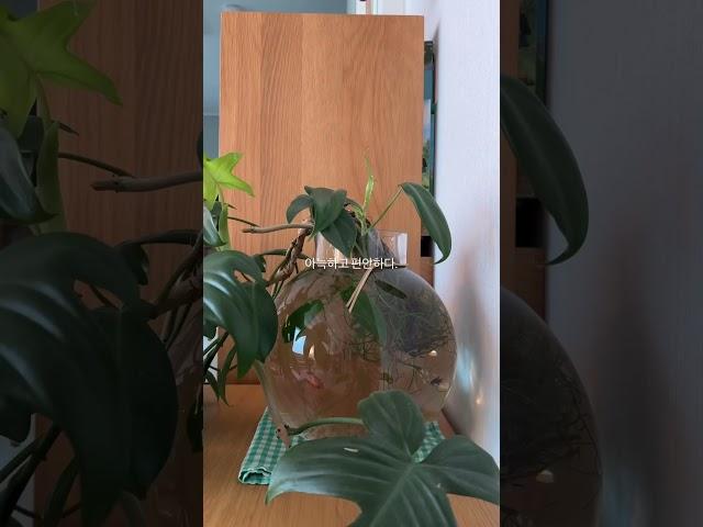 빠르게 흘러가는 좋아하는 시간 #우드인테리어 #조명인테리어 #거실인테리어 #아파트인테리어 #우디홈 #homedecor #예쁜인테리어 #20평대인테리어