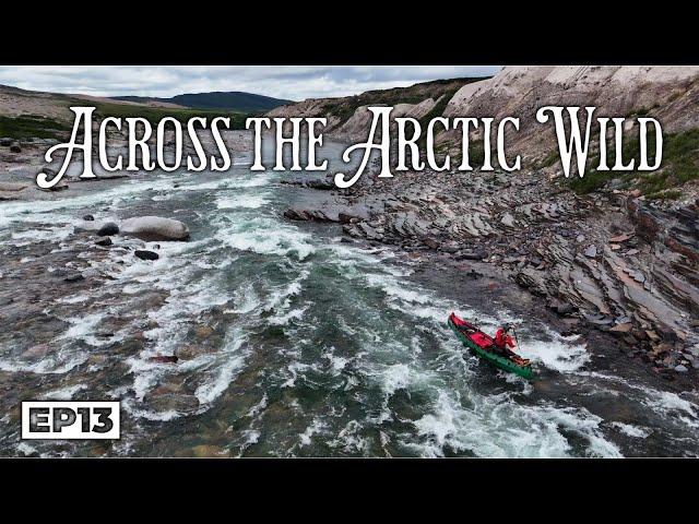 Across the Arctic Wild: A 20-Day Journey Through the Heart of the Barren Grounds -E.13 Grizzly Bear