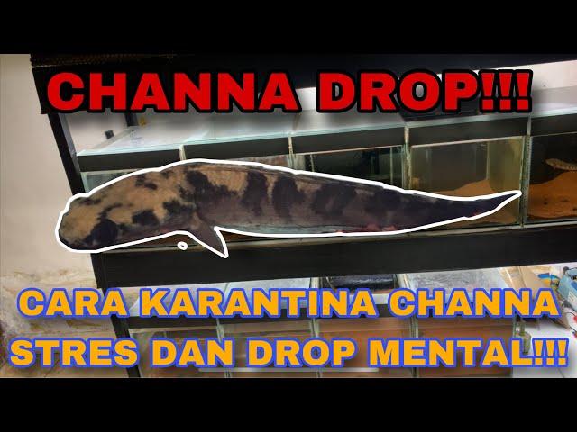 CARA ATASI CHANNA STRES DAN DROP MENTAL‼️