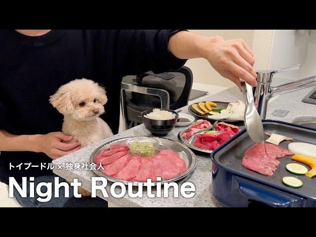 Night routine/ A dog and a bachelor