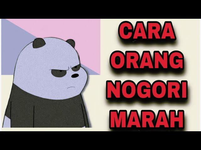 CARA ORANG NOGORI MARAH