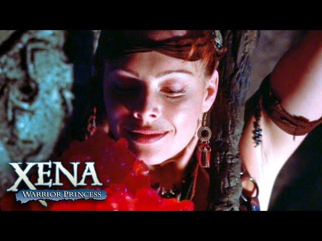 A Busca Por Ambrosia | Xena: A Princesa Guerreira