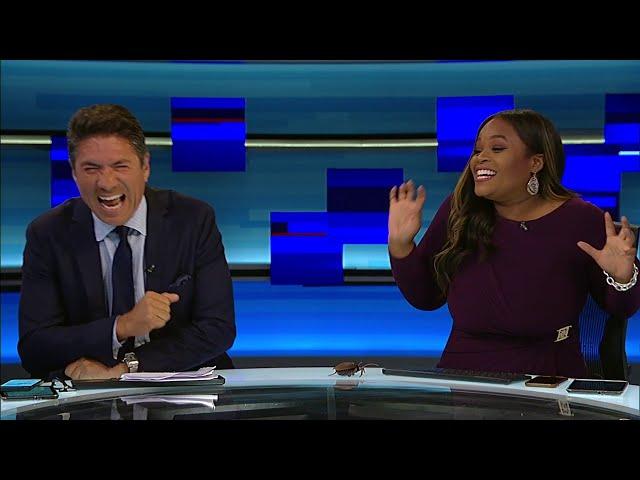 Local 10's Louis Aguirre surprises his co-anchor Alex Finnie with her own cicada