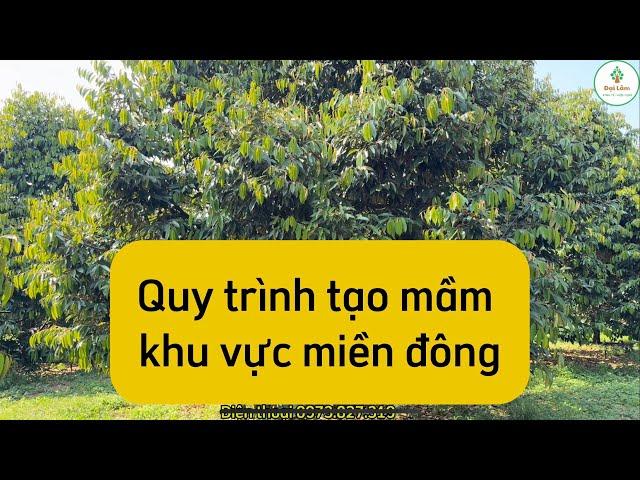 Quy trình tạo mầm sầu riêng khu vực miền đông nam bộ.