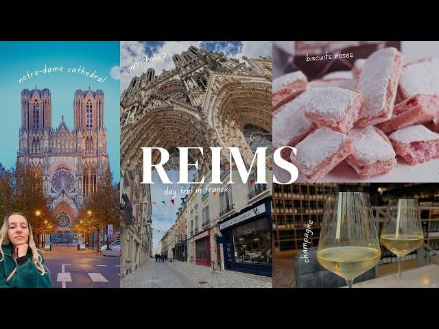 reims, france | champagne, pickles, cars, cathedral and more 