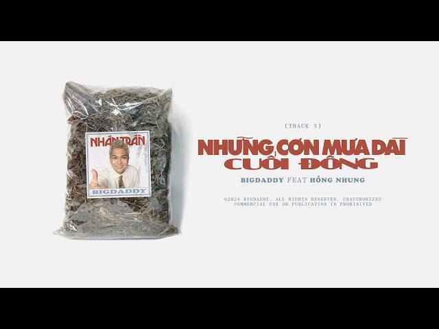 BIGDADDY - NHỮNG CƠN MƯA DÀI CUỐI ĐÔNG (ft. HỒNG NHUNG)| ALBUM NHÂN TRẦN | VISUALIZER VIDEO