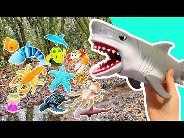 Learn Sea Animal Names & Fun Facts for Kids: Turtle Eagle Ray Crab #HolidaysWithYouTube