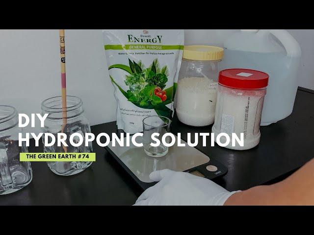 How to Make Your Own Hydroponic Solution at Home? | DIY Hydroponic Nutrients