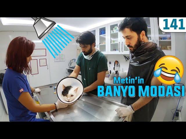 Klinikte Banyo Zamanı ve Metin'in Banyo Modası  #VeterinerHekimMeslegiİcinSekildenSekileGirer