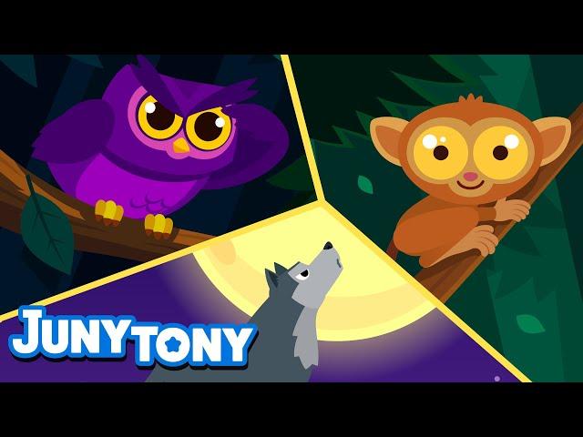  We Like the Night | Nocturnal Animals Owl, Wolf, Tarsier | Night Animal | Kids Songs | JunyTony