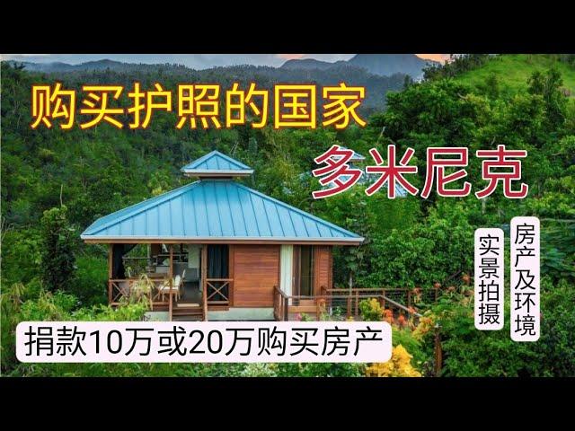 多米尼克购买护照，免签144个国家（英国、申根国家、中国大陆、香港）美国10年签证。零税國。面朝大海春暖花开，20万美元房产投资享受宁静周围被绿植包围40%以上都是绿化