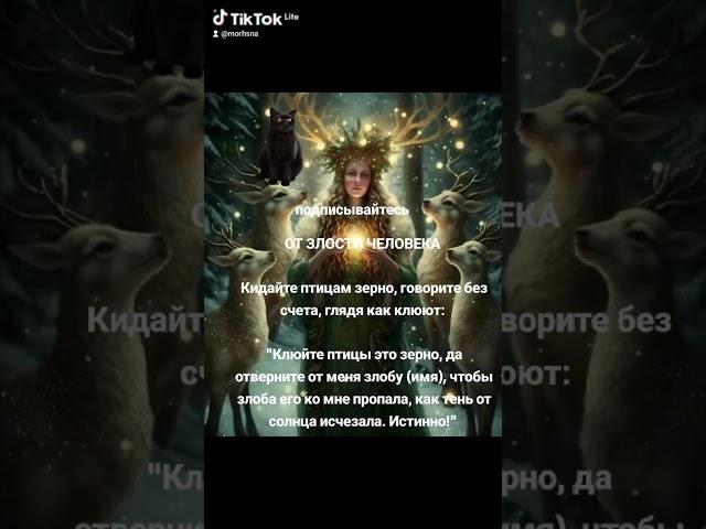 14 ноября 2024 г.