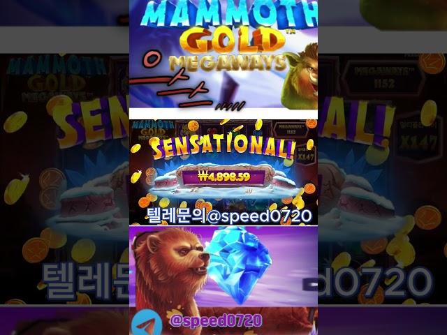 #슬롯수익법#좀비슬롯#슬롯라이브#슬롯생방송#슬롯잭팟#슬롯돈따는법#프라그마틱슬롯#슬롯잭팟#바카라#pragmatic#온라인슬롯#강원랜드슬롯머신#조교슬롯#슬롯차무식