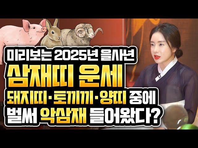 미리보는 2025년 삼재특집 2025년 을사년에 최악의 삼재띠는 어떤 띠가 있을까? 토끼띠 양띠 돼지띠 삼재띠 분들은 꼭 미리 알고 예방하세요 그래야 나에게 복이 찾아옵니다.