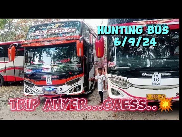 Kumpulan Bus Basuri Mania,,Trip Anyer ,Ada Litlle Bus,Baby Boss,Asraf #busmania